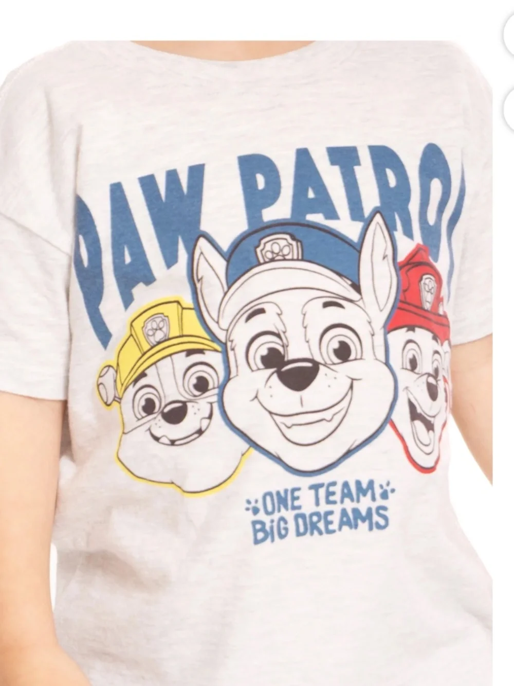 Paw Patrol Unisex Platinum Heather Tee Shirt Size 5T NWT